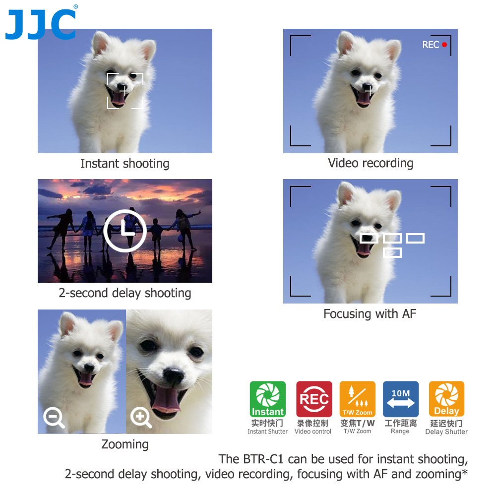 Pilot Bluetooth JJC BR-E1 do C – Canon Camera Eos R50 recenzja i cena